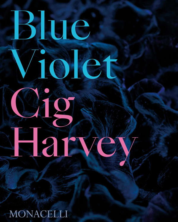 Cig Harvey