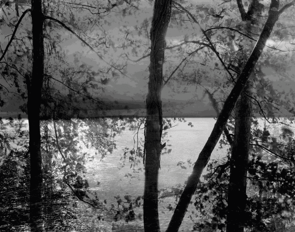 Nicholas Hughes (British b. 1963)