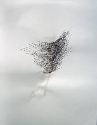Karilee Fuglem, Dessin de la série « Connective tissue », 2005, encre et eau sur vélin, 28 x 21.5 cm