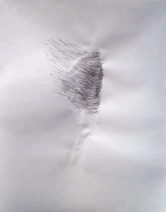 Karilee Fuglem, Dessin de la série « Connective tissue », 2005, encre et eau sur vélin, 28 x 21.5 cm