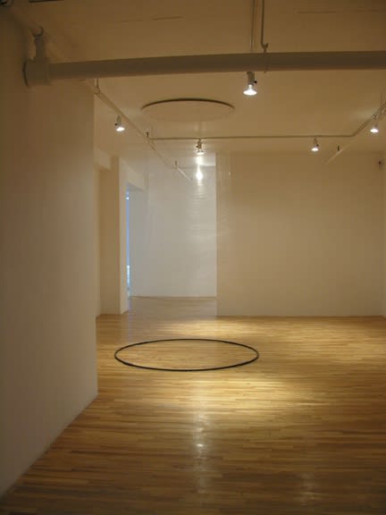 Karilee Fuglem, "A continuous thread", 2005, nylon monofilament