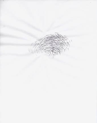 Karilee Fuglem, Dessin de la série « Connective tissue », 2005, encre et eau sur vélin, 28 x 21.5 cm