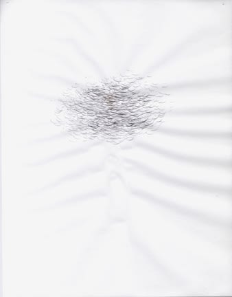 Karilee Fuglem, Dessin de la série « Connective tissue », 2005, encre et eau sur vélin, 28 x 21.5 cm