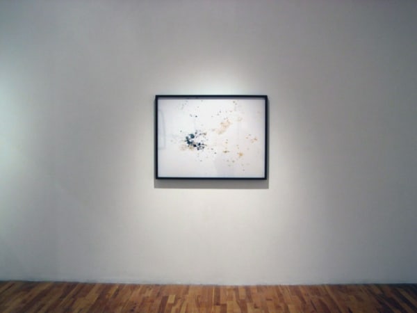 Trashformations View 15 2005 Large