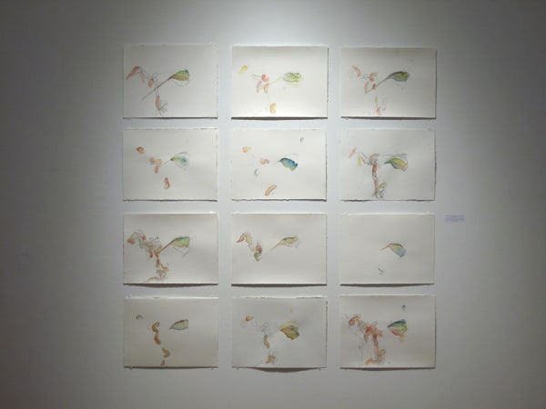 Annie Thibault, Apprivoisements fugaces: Vorticella et Euglena, 2006, Série en couleur, parcours no 1 à 12, dessin sur projection lumineuse, plomb, aquarelle, brou de noix sur papier BFK Rives, 23 x 31 cm chacun