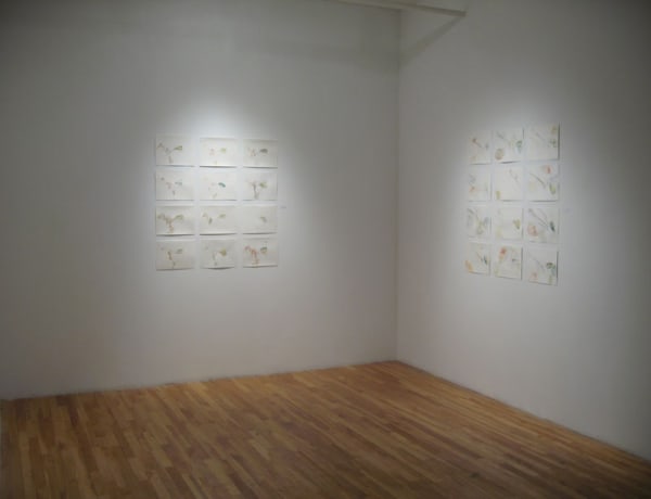 At 2007 View 3 Large