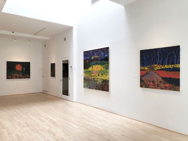 Bk 2018 Installation 03