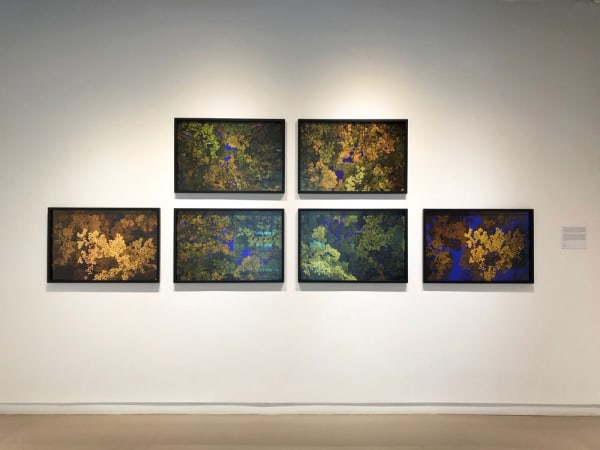 Cc Cs 2018 Installation 01