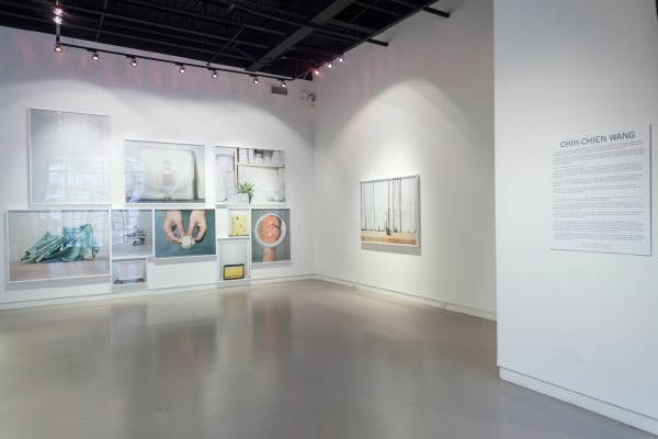 Cw Cs View 6 2013 Large