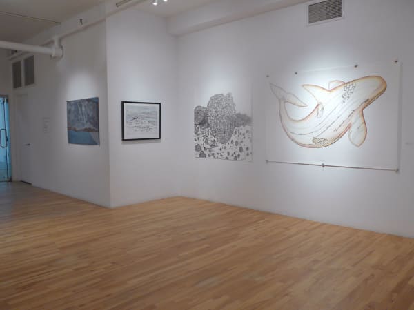 Nse 2014 View 2 Large