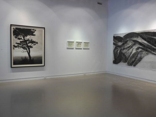 Lum View 2014 3 Large 1