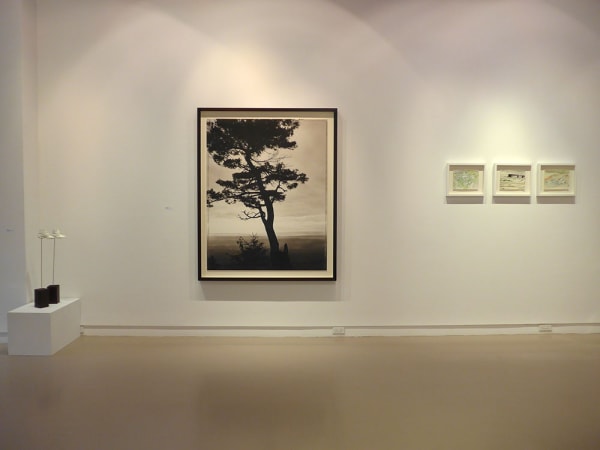 Lum View 2014 6 Large 1