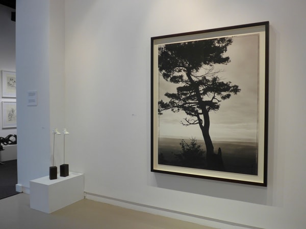 Lum View 2014 8 Large 1