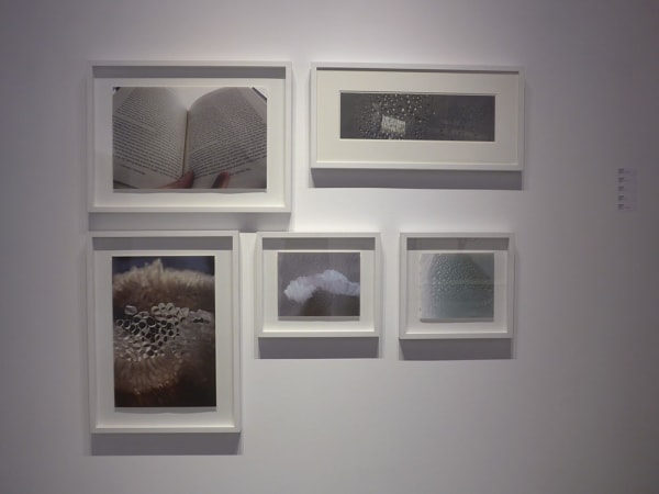 Lum View 2014 9 Large 1