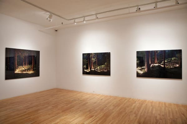 Make View 2014 2 Large