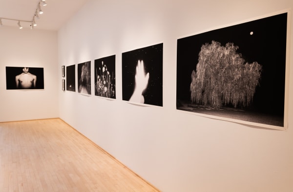 Quang Hai Nguyen (photos)