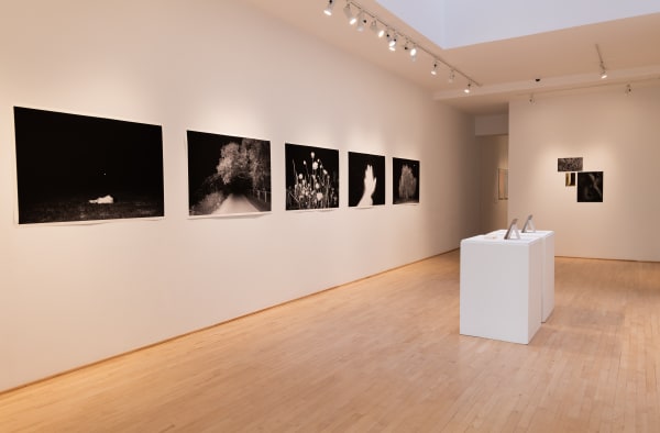 Vue d'ensemble "Dear family: twenty years was just yesterday" (Wardrobe, Neverland) Art Matters Festival 2021