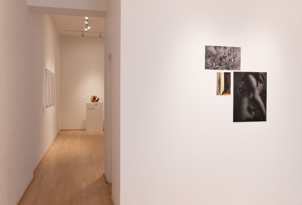 Aja Palmer (gauche / left)