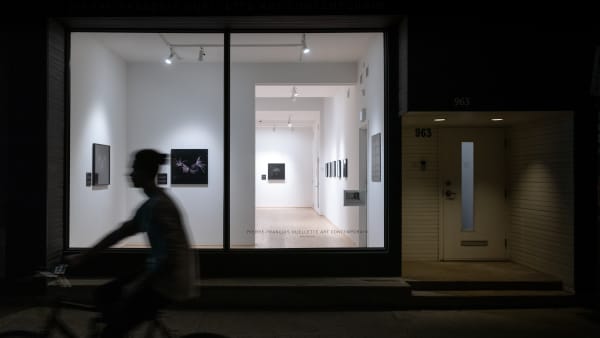 Sa Chains Crowns Installation Shot 12 Pfoac