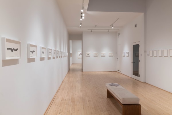 Jerome Fortin Huy Lam Installation Pfoac 06