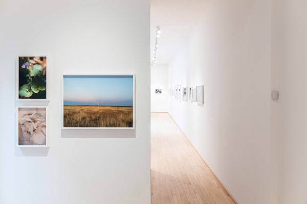 Phyllis Lambert Installation Shot Pfoac 04