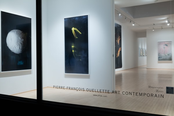 Chih Chien Wang 2023 Pfoac Install 10