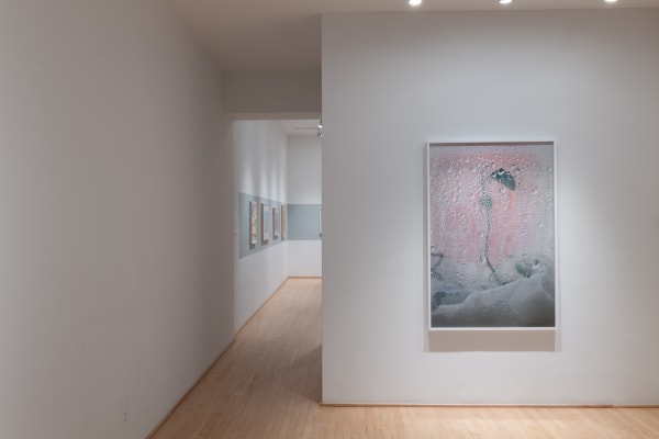 Chih Chien Wang 2023 Pfoac Install 7