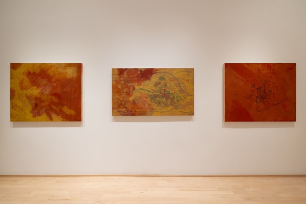 Natasha Kanapé Fontaine: Nutshimit Tshissitutam Photo: Michael Patten