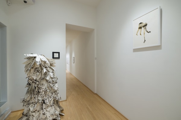 068 Ou L Echo Precede La Voix Photo Michael Patten