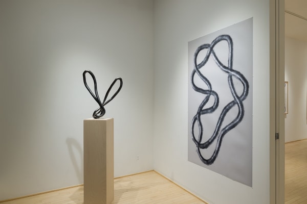 004 Roberto Pellegrinuzzi Photo Michael Patten