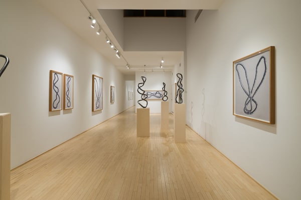 016 Roberto Pellegrinuzzi Photo Michael Patten