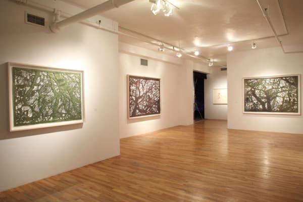 Ep 2009 Installation 02 Large