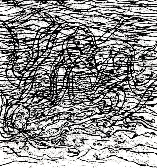 Ep The Living Sea 2014