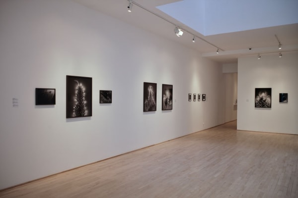 Mjm Installation 2019 2