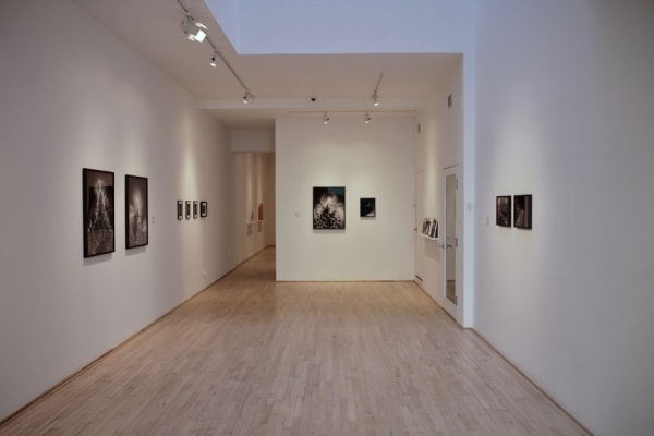 Mjm Installation 2019 3