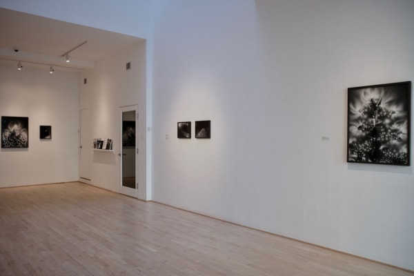 Mjm Installation 2019 4