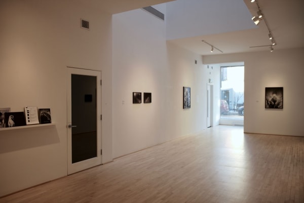 Mjm Installation 2019 5