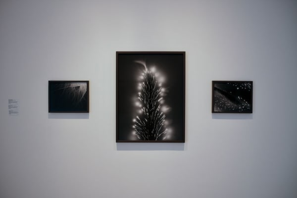 Mjm Installation 2019 6