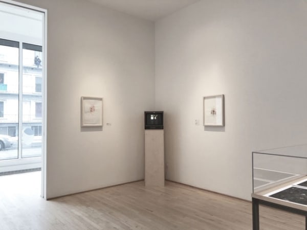 Ep 2018 Installation 03