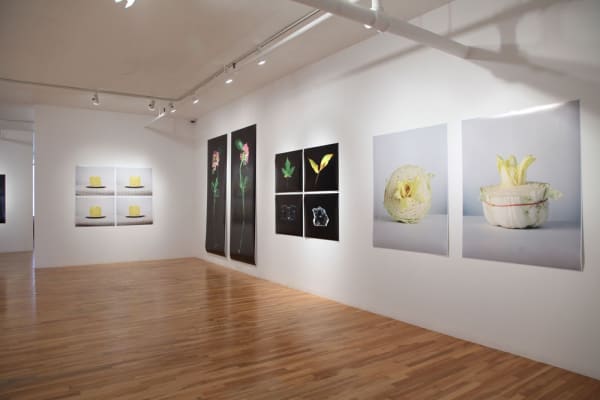 Ccw 2011 Vuedelexpo 2 Large