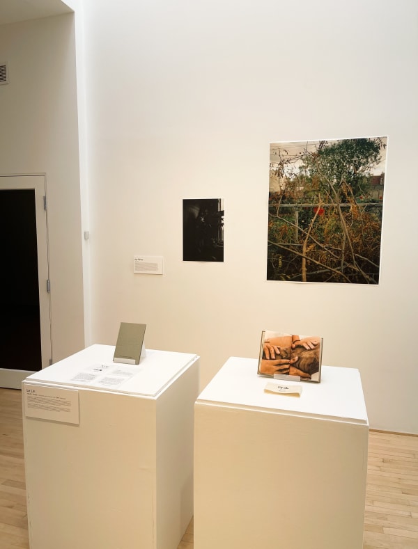 Aja Palmer (photos) Le Lin (livres)