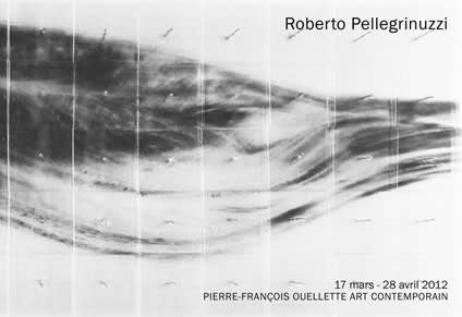 Roberto Pellegrinuzzi: Nature morte (fleur)