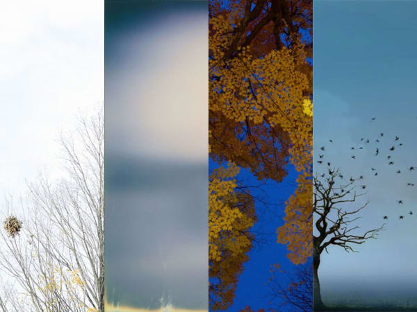 Cimes et Cieux @ Centre Space (Toronto) Glenda León, Marc Audette, Edward Maloney & Lise Beaudry