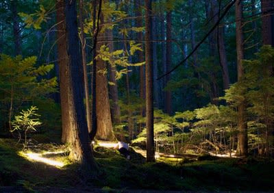 Marc Audette et Adad Hannah @ Centre Space (Toronto) Exposition phare du Festival de photographies Scotiabank CONTACT