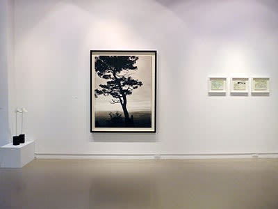 Luminescences MTL - TO @ Centre Space (Toronto)