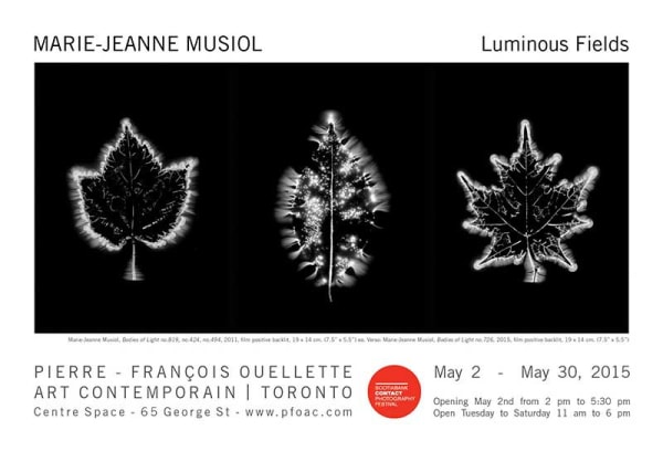 Marie-Jeanne Musiol @ Centre Space (Toronto) Luminous Fields