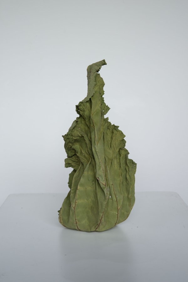 Chih-Chien Wang: In Search of a Solid Ground