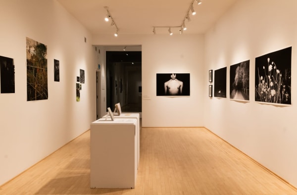 "Dear family: twenty years was just yesterday" An exhibition curated by Matthew Sanderson as part of ART MATTERS FESTIVAL