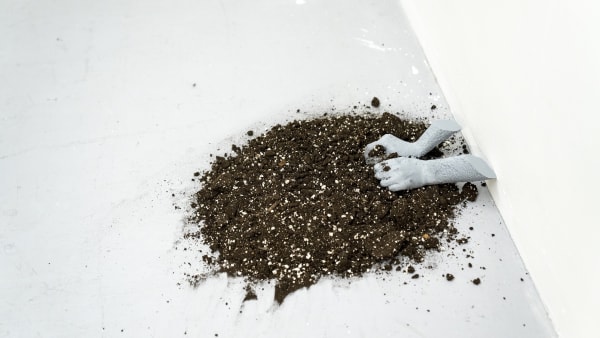 Rojin Shafiei: Bavan