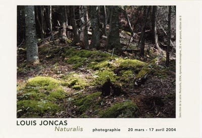 Louis Joncas, Naturalis